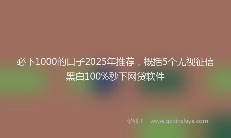 必下1000的口子2025年推荐，概括5个无视征信黑白100%秒下网贷软件