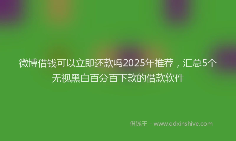 微博借钱可以立即还款吗2025年推荐，汇总5个无视黑白百分百下款的借款软件