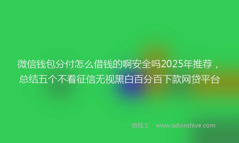 微信钱包分付怎么借钱的啊安全吗2025年推荐，总结五个不看征信无视黑白百分百下款网贷平台