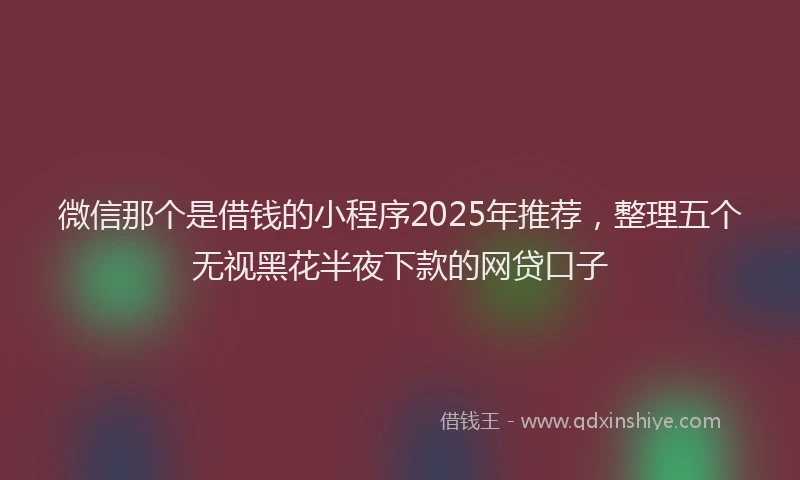 微信那个是借钱的小程序2025年推荐，整理五个无视黑花半夜下款的网贷口子