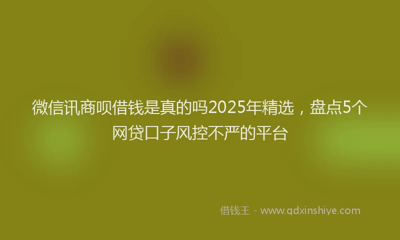微信讯商呗借钱是真的吗2025年精选，盘点5个网贷口子风控不严的平台