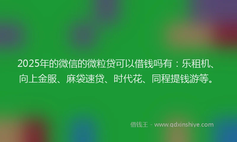 2025年的微信的微粒贷可以借钱吗有：乐租机、向上金服、麻袋速贷、时代花、同程提钱游等。
