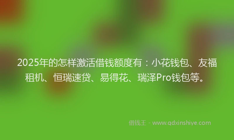 2025年的怎样激活借钱额度有：小花钱包、友福租机、恒瑞速贷、易得花、瑞泽Pro钱包等。