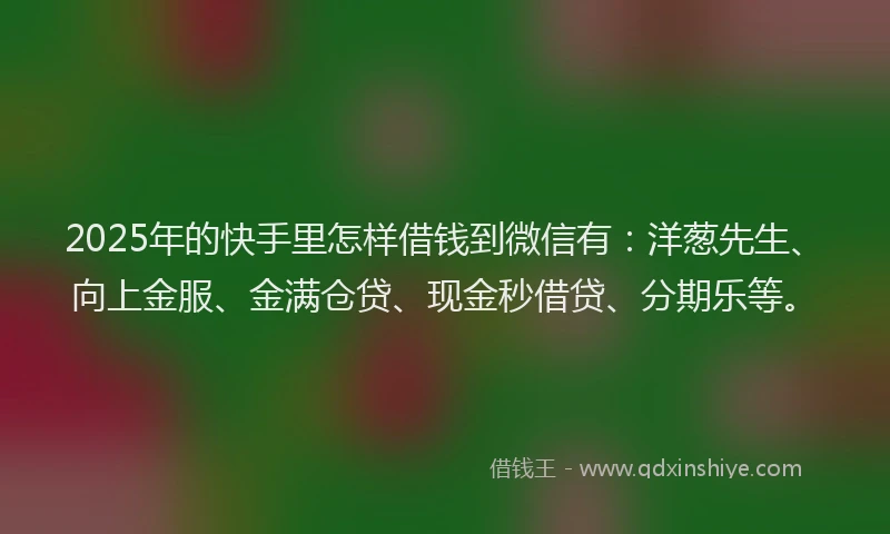 2025年的快手里怎样借钱到微信有：洋葱先生、向上金服、金满仓贷、现金秒借贷、分期乐等。