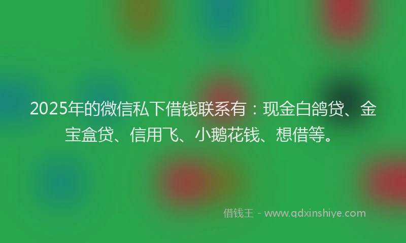 2025年的微信私下借钱联系有：现金白鸽贷、金宝盒贷、信用飞、小鹅花钱、想借等。