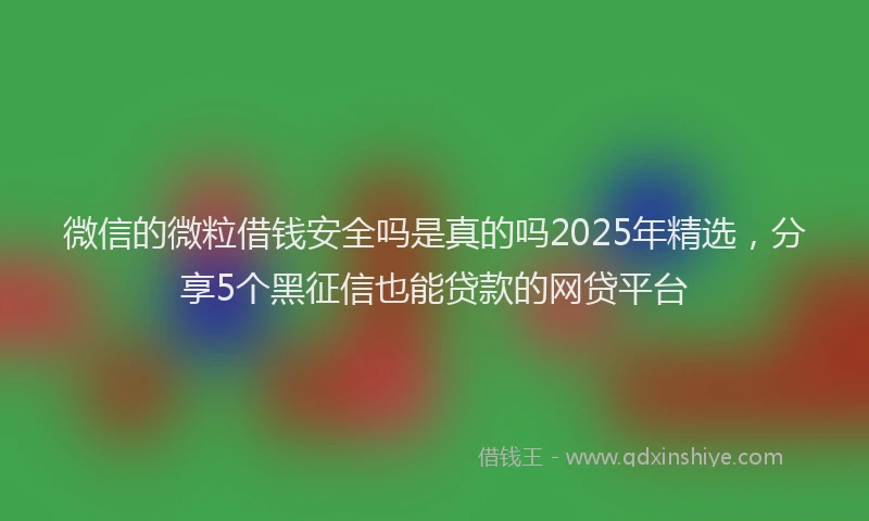 微信的微粒借钱安全吗是真的吗2025年精选，分享5个黑征信也能贷款的网贷平台