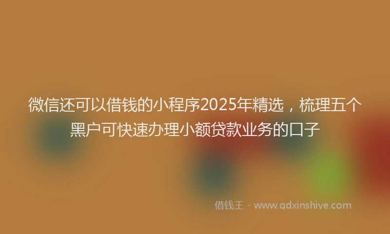 微信还可以借钱的小程序2025年精选，梳理五个黑户可快速办理小额贷款业务的口子