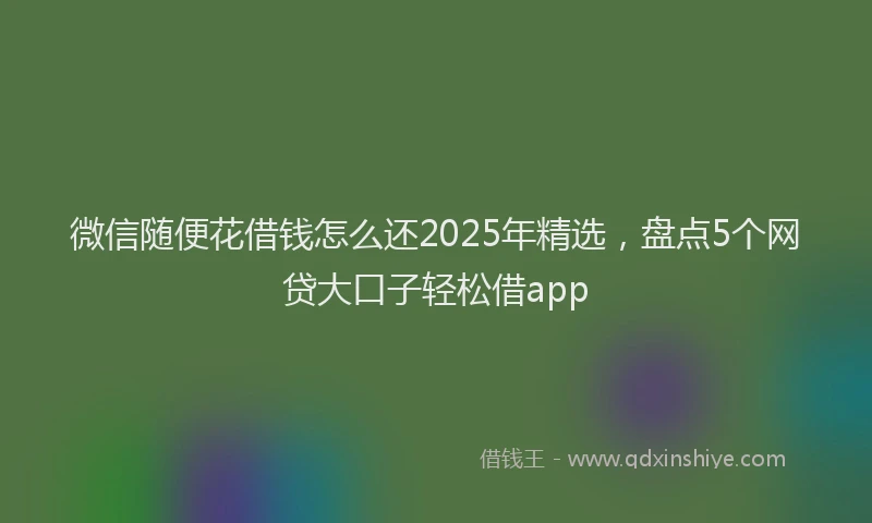微信随便花借钱怎么还2025年精选，盘点5个网贷大口子轻松借app