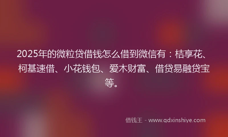 2025年的微粒贷借钱怎么借到微信有：桔享花、柯基速借、小花钱包、爱木财富、借贷易融贷宝等。