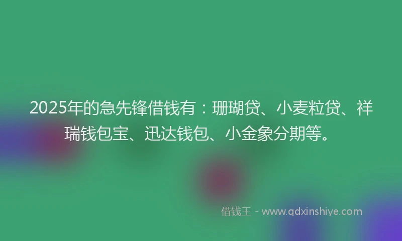 2025年的急先锋借钱有：珊瑚贷、小麦粒贷、祥瑞钱包宝、迅达钱包、小金象分期等。