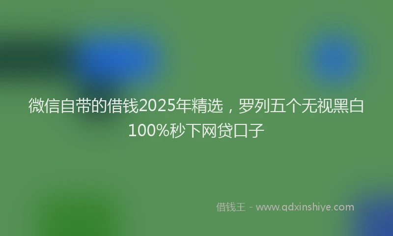 微信自带的借钱2025年精选，罗列五个无视黑白100%秒下网贷口子
