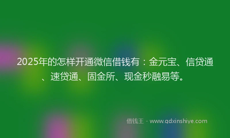 2025年的怎样开通微信借钱有：金元宝、信贷通、速贷通、固金所、现金秒融易等。
