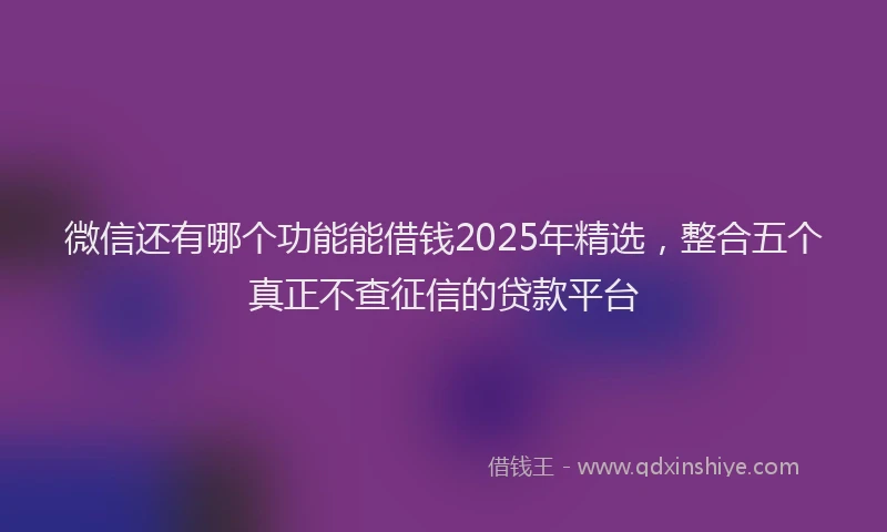 微信还有哪个功能能借钱2025年精选，整合五个真正不查征信的贷款平台