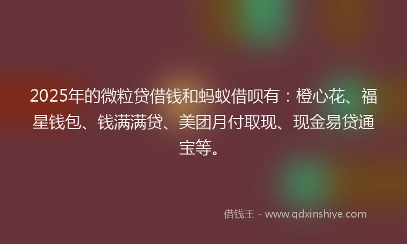 2025年的微粒贷借钱和蚂蚁借呗有：橙心花、福星钱包、钱满满贷、美团月付取现、现金易贷通宝等。