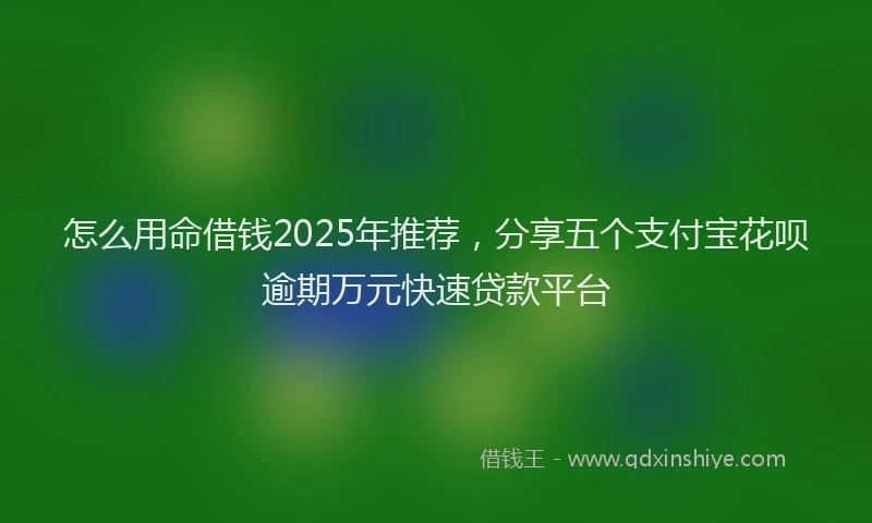 怎么用命借钱2025年推荐，分享五个支付宝花呗逾期万元快速贷款平台