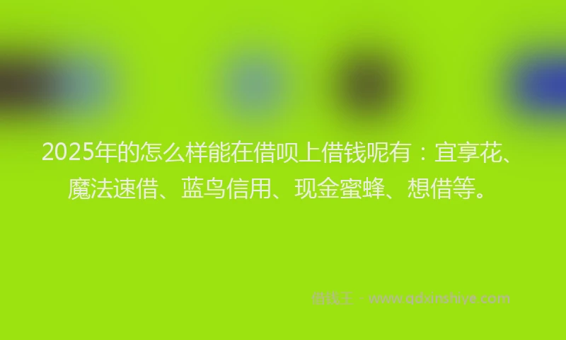 2025年的怎么样能在借呗上借钱呢有：宜享花、魔法速借、蓝鸟信用、现金蜜蜂、想借等。