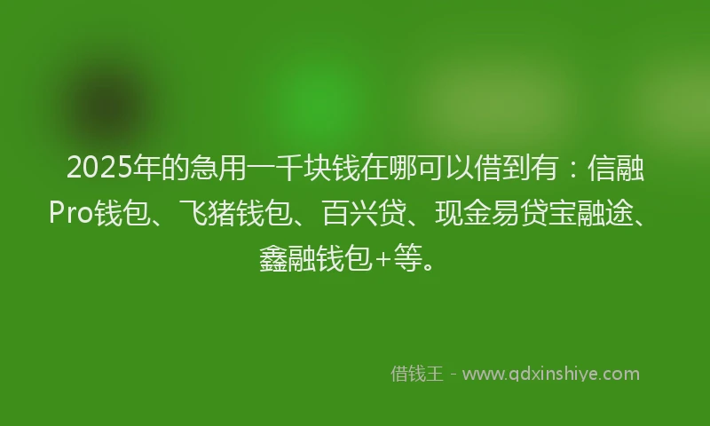 2025年的急用一千块钱在哪可以借到有：信融Pro钱包、飞猪钱包、百兴贷、现金易贷宝融途、鑫融钱包+等。
