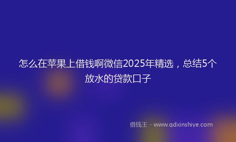 怎么在苹果上借钱啊微信2025年精选，总结5个放水的贷款口子