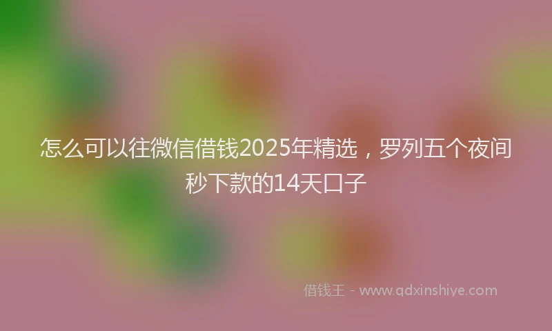 怎么可以往微信借钱2025年精选，罗列五个夜间秒下款的14天口子