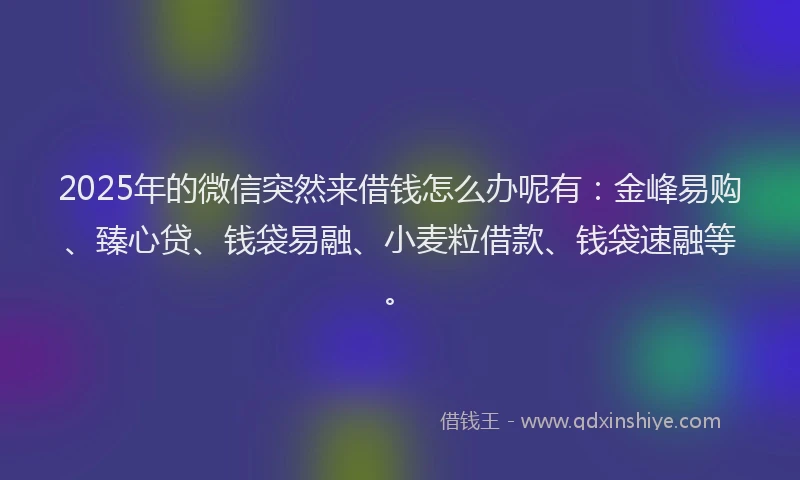 2025年的微信突然来借钱怎么办呢有：金峰易购、臻心贷、钱袋易融、小麦粒借款、钱袋速融等。