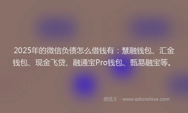 2025年的微信负债怎么借钱有：慧融钱包、汇金钱包、现金飞贷、融通宝Pro钱包、甄易融宝等。