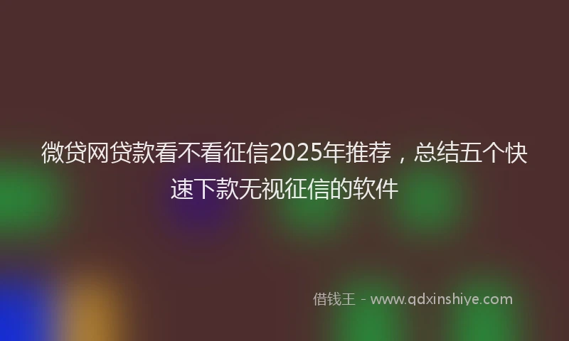 微贷网贷款看不看征信2025年推荐，总结五个快速下款无视征信的软件