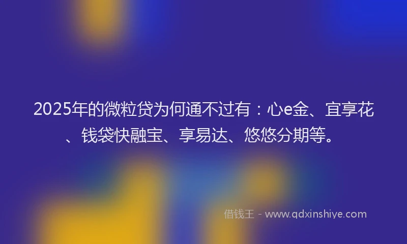 2025年的微粒贷为何通不过有：心e金、宜享花、钱袋快融宝、享易达、悠悠分期等。