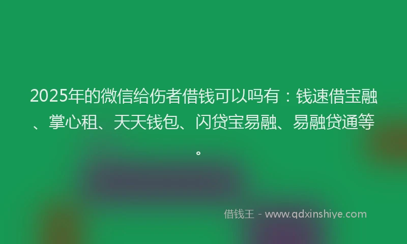 2025年的微信给伤者借钱可以吗有：钱速借宝融、掌心租、天天钱包、闪贷宝易融、易融贷通等。