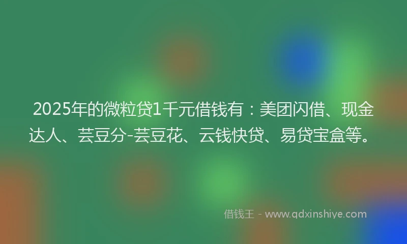 2025年的微粒贷1千元借钱有：美团闪借、现金达人、芸豆分-芸豆花、云钱快贷、易贷宝盒等。