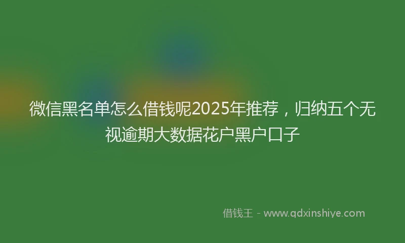 微信黑名单怎么借钱呢2025年推荐，归纳五个无视逾期大数据花户黑户口子