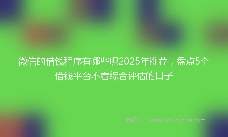 微信的借钱程序有哪些呢2025年推荐，盘点5个借钱平台不看综合评估的口子