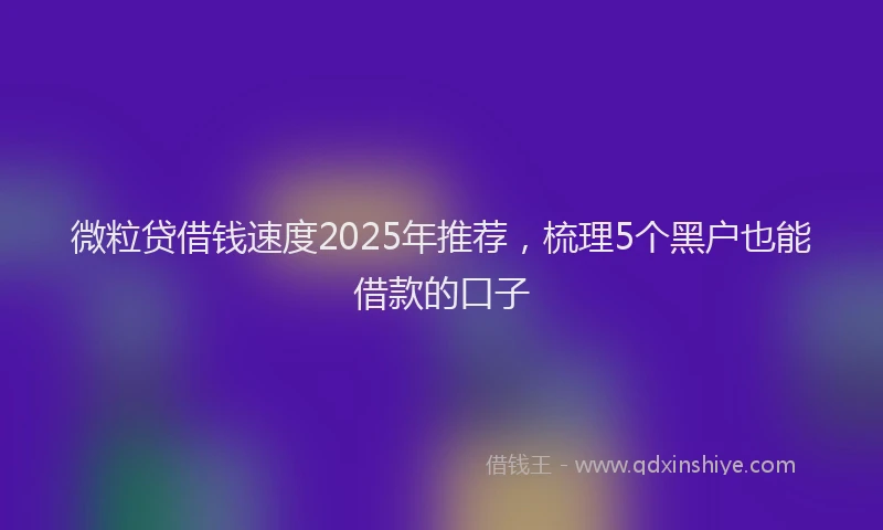 微粒贷借钱速度2025年推荐，梳理5个黑户也能借款的口子