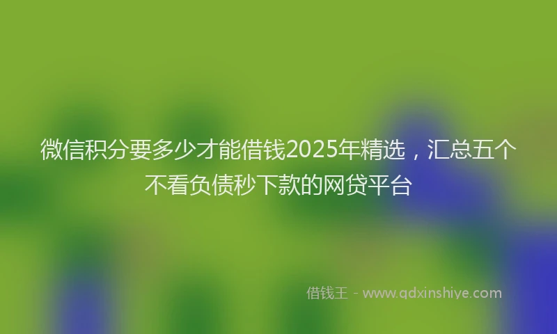 微信积分要多少才能借钱2025年精选，汇总五个不看负债秒下款的网贷平台