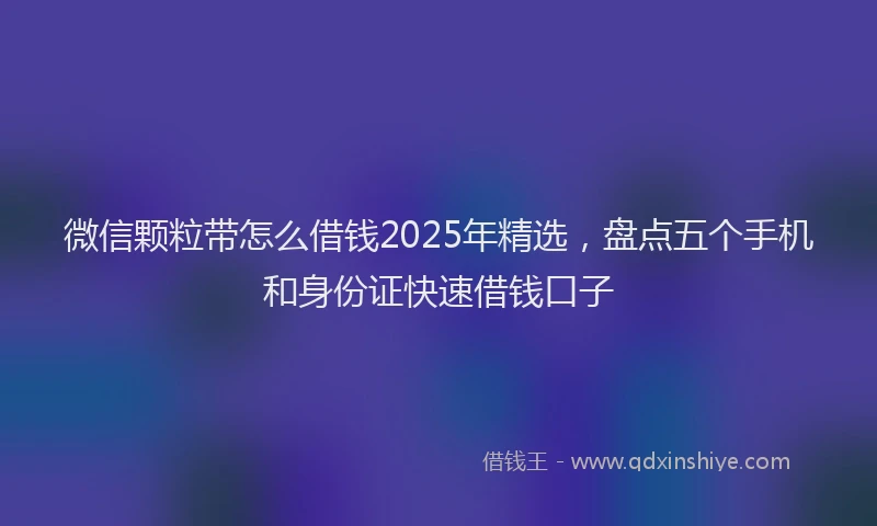 微信颗粒带怎么借钱2025年精选，盘点五个手机和身份证快速借钱口子