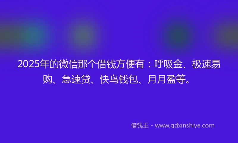 2025年的微信那个借钱方便有：呼吸金、极速易购、急速贷、快鸟钱包、月月盈等。
