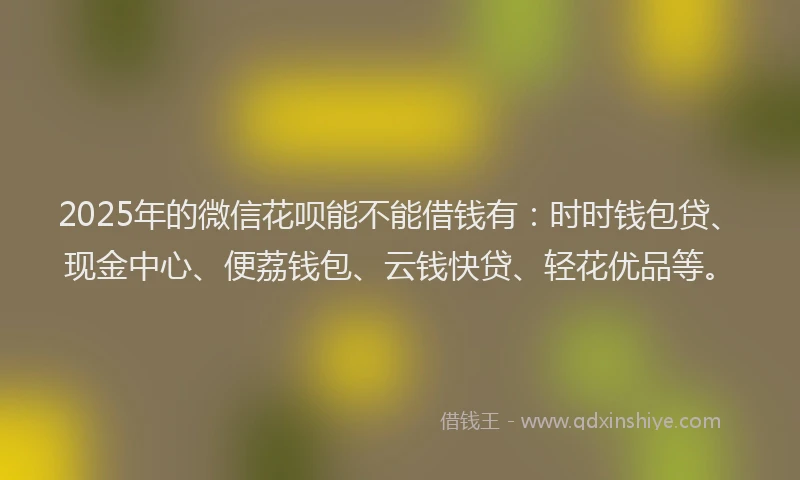 2025年的微信花呗能不能借钱有：时时钱包贷、现金中心、便荔钱包、云钱快贷、轻花优品等。