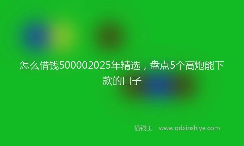 怎么借钱500002025年精选，盘点5个高炮能下款的口子