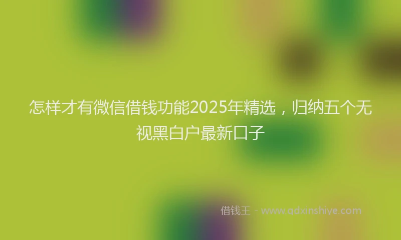 怎样才有微信借钱功能2025年精选，归纳五个无视黑白户最新口子