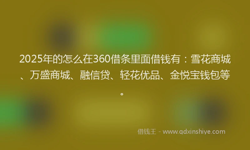 2025年的怎么在360借条里面借钱有：雪花商城、万盛商城、融信贷、轻花优品、金悦宝钱包等。