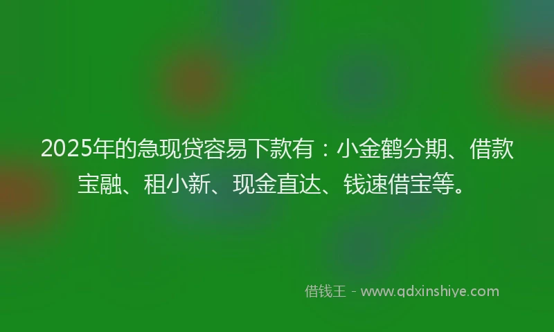 2025年的急现贷容易下款有：小金鹤分期、借款宝融、租小新、现金直达、钱速借宝等。