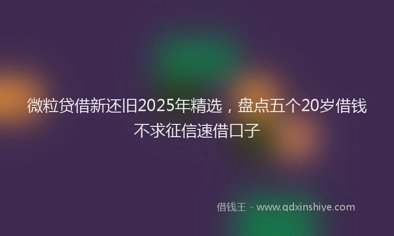 微粒贷借新还旧2025年精选，盘点五个20岁借钱不求征信速借口子