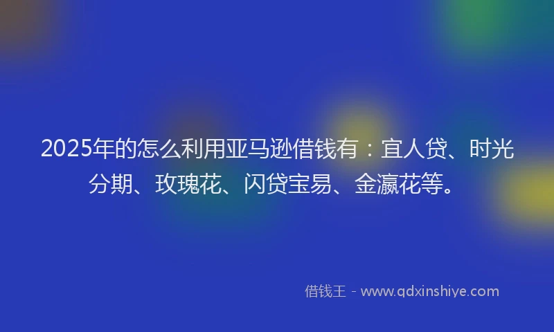 2025年的怎么利用亚马逊借钱有：宜人贷、时光分期、玫瑰花、闪贷宝易、金瀛花等。