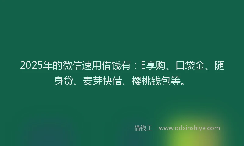 2025年的微信速用借钱有：E享购、口袋金、随身贷、麦芽快借、樱桃钱包等。