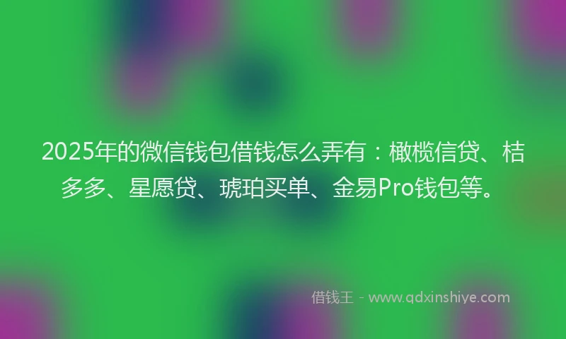 2025年的微信钱包借钱怎么弄有：橄榄信贷、桔多多、星愿贷、琥珀买单、金易Pro钱包等。