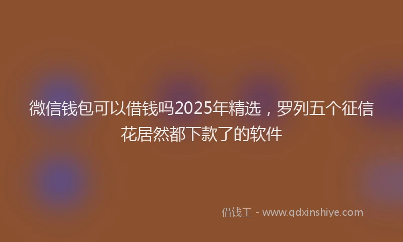 微信钱包可以借钱吗2025年精选，罗列五个征信花居然都下款了的软件