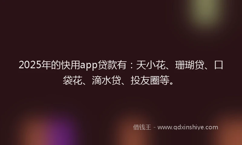 2025年的快用app贷款有：天小花、珊瑚贷、口袋花、滴水贷、投友圈等。