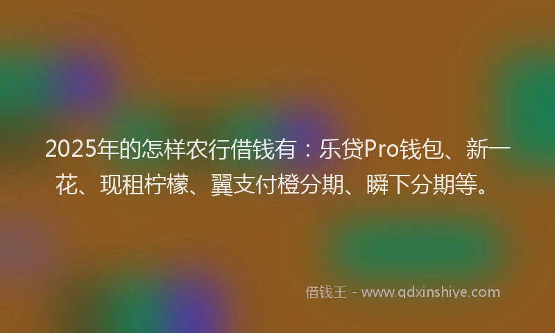 2025年的怎样农行借钱有：乐贷Pro钱包、新一花、现租柠檬、翼支付橙分期、瞬下分期等。