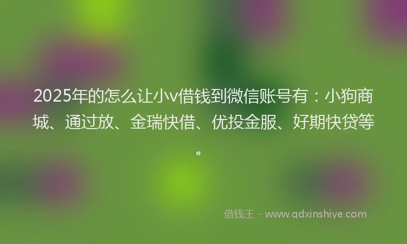 2025年的怎么让小v借钱到微信账号有：小狗商城、通过放、金瑞快借、优投金服、好期快贷等。