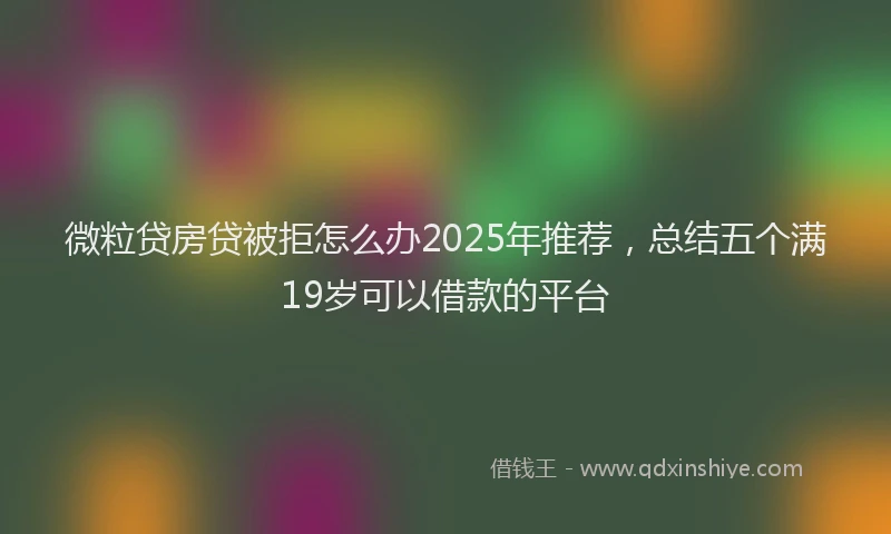 微粒贷房贷被拒怎么办2025年推荐，总结五个满19岁可以借款的平台