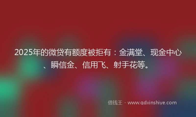 2025年的微贷有额度被拒有：金满堂、现金中心、瞬信金、信用飞、射手花等。
